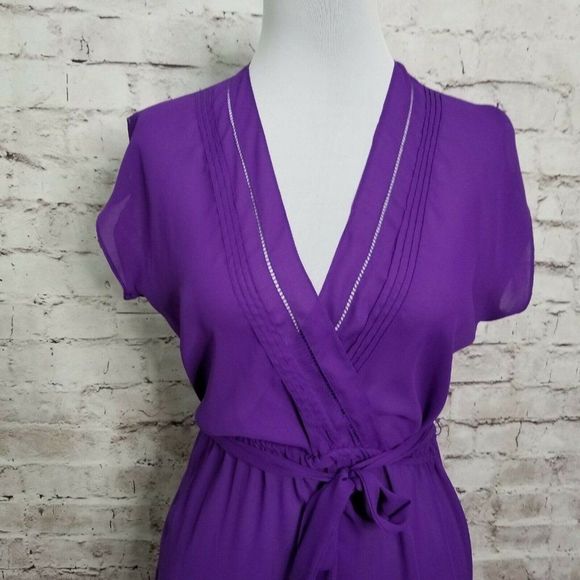 VTG Brasseur of California‎ Purple Sheer Nightgown - Picture 2 of 8